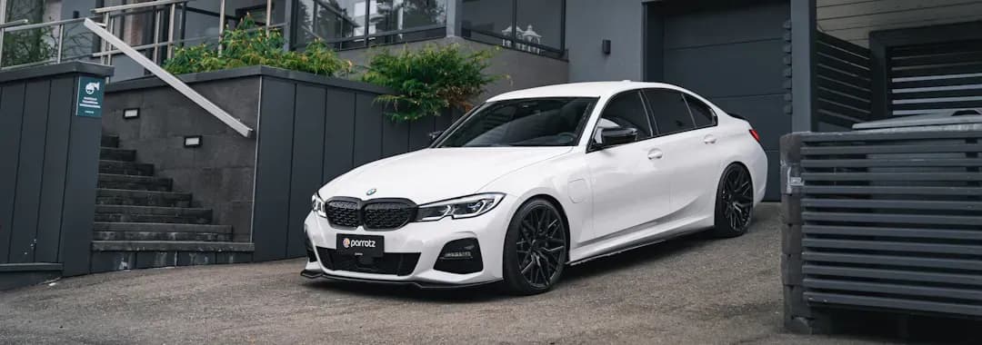 parrotz news preview