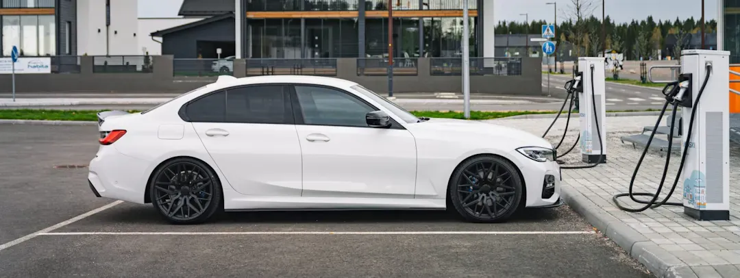 parrotz news preview