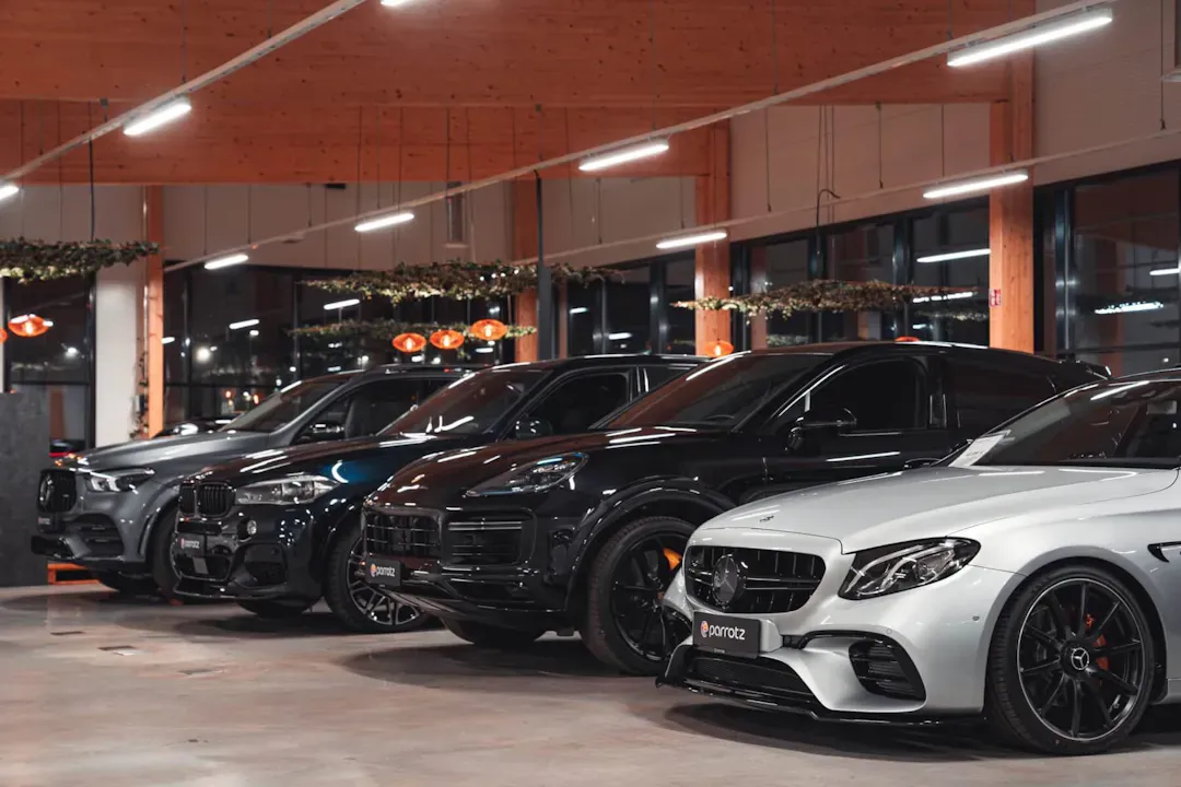 parrotz news preview